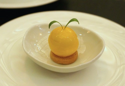 vasco hong kong white chocolate