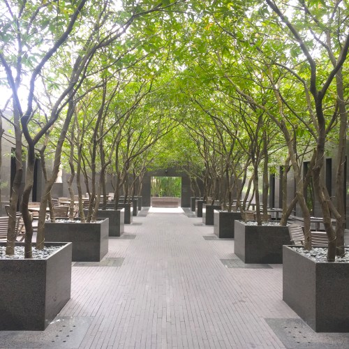 grand-hyatt-hong-kong-plateau-spa